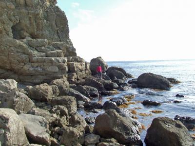 Прикрепленное изображение: DSCF6279.jpg